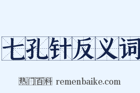 七孔针反义词是什么意思的图片